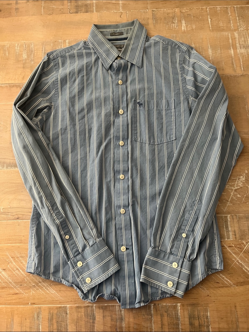 Abercrombie & Fitch Blue/White Striped Men's Button-Down Shirt